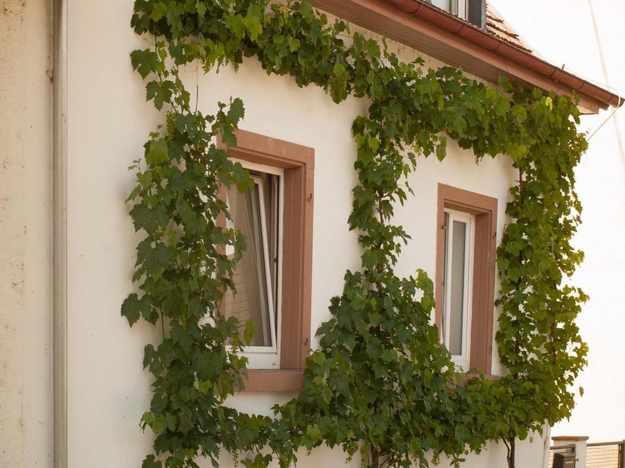 Ferienhaus Am Kuenstleratelier Ригель Экстерьер фото